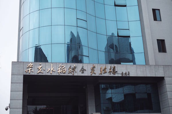 特稿｜86岁的“杂交水稻之父”袁隆平和他的超级稻