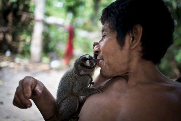 他们吃火烤鳄鱼，也用母乳喂养松鼠