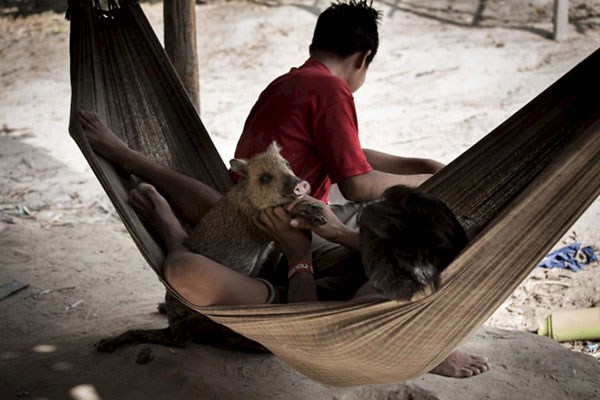 他们吃火烤鳄鱼，也用母乳喂养松鼠