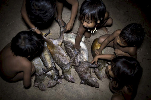 他们吃火烤鳄鱼，也用母乳喂养松鼠