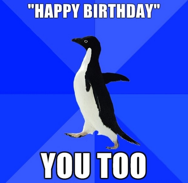 海獭会啪啪海豹宝宝？企鹅连大地都不放过？这些萌物的生活，可不只有卖萌而已