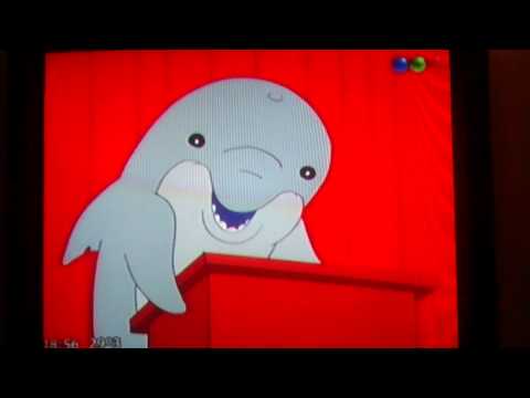 海獭会啪啪海豹宝宝？企鹅连大地都不放过？这些萌物的生活，可不只有卖萌而已