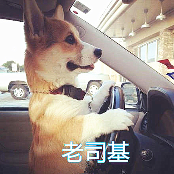 澎湃联播|上班爱摸鱼？多半是得了精神病