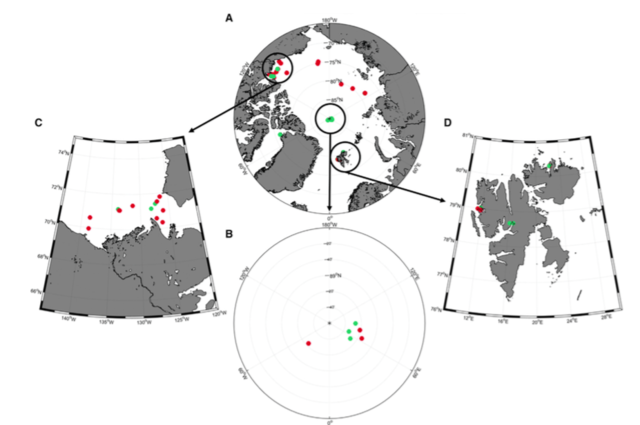 极夜大迁徙，以明月为号！