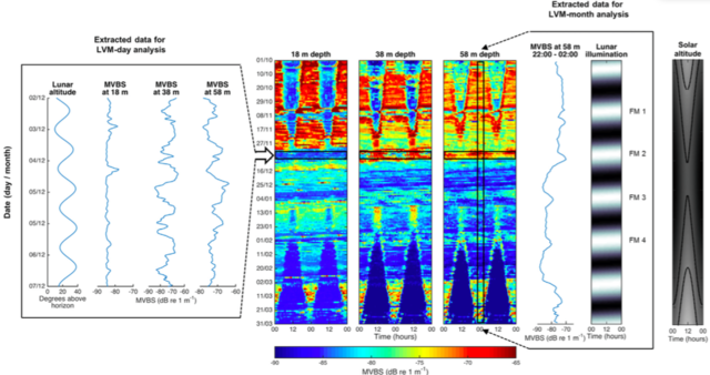 极夜大迁徙，以明月为号！