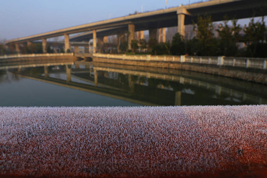 通城普降霜  田野白茫茫 (3).jpg