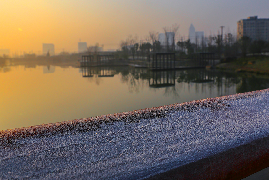 通城普降霜  田野白茫茫 (8).jpg