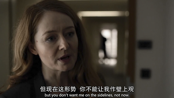 《国土安全》第五季：巴黎袭击之后，柏林何去何从？