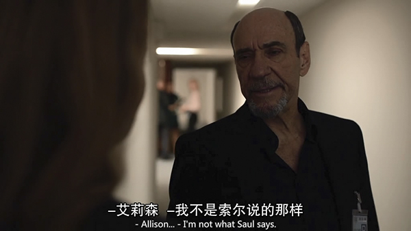 《国土安全》第五季：巴黎袭击之后，柏林何去何从？