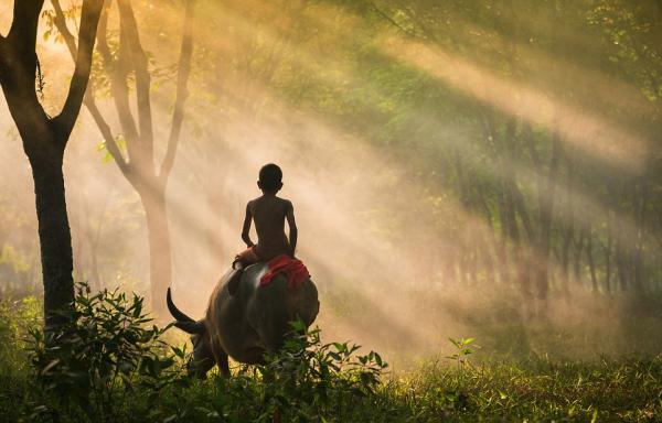 你还在痴迷“朋友圈摄影大赛”，有些人已经把眼光放得更远