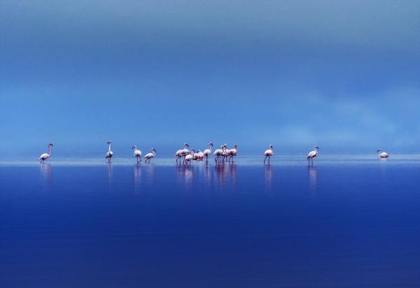 你还在痴迷“朋友圈摄影大赛”，有些人已经把眼光放得更远