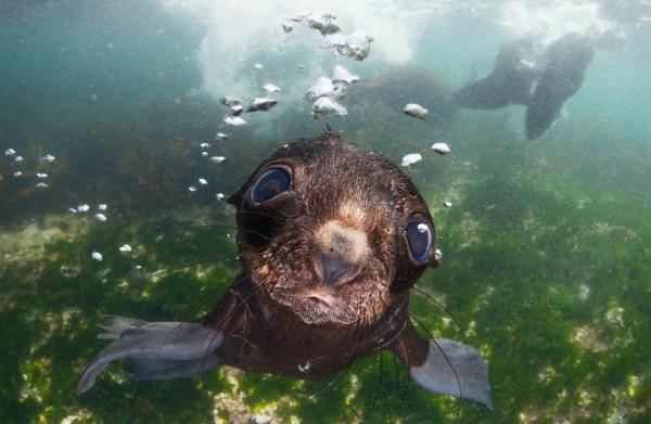 你还在痴迷“朋友圈摄影大赛”，有些人已经把眼光放得更远