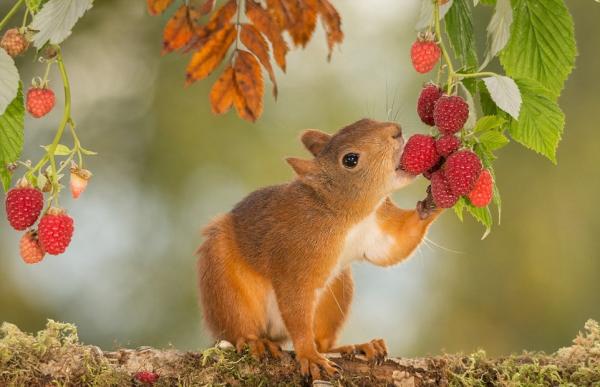 你还在痴迷“朋友圈摄影大赛”，有些人已经把眼光放得更远