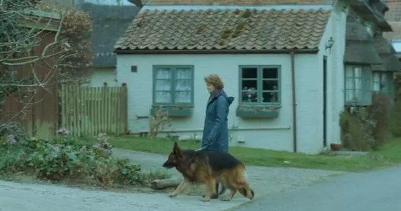 我十分不建议感情正好的恋人看这部片