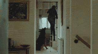 我十分不建议感情正好的恋人看这部片