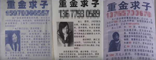 澎湃联播|你不知网络对面是不是狗，但“知乎女神”竟是男？