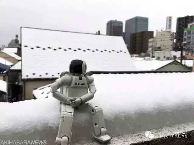 锦华 南通装修 3.webp.jpg