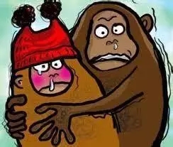 锦华 南通装修 14.webp.jpg