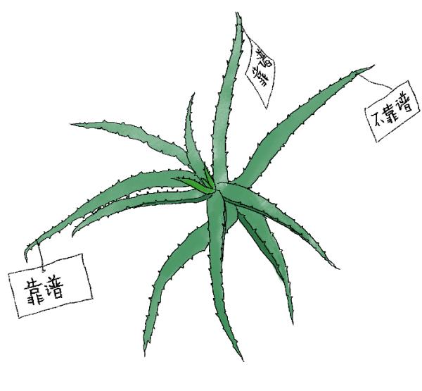 【问答】芦荟外用真的可靠吗？