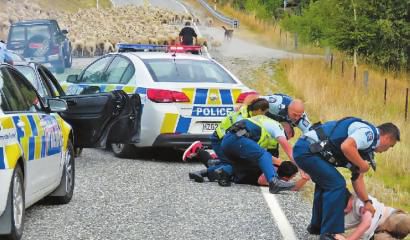 一群羊阻断了逃犯的去路，逃犯被警察抓获