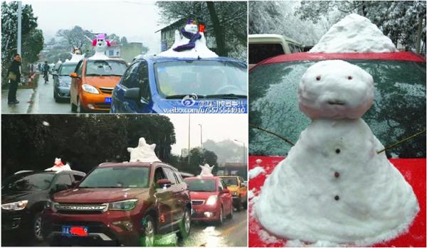 澎湃联播|这次真的要说一句：我冷！