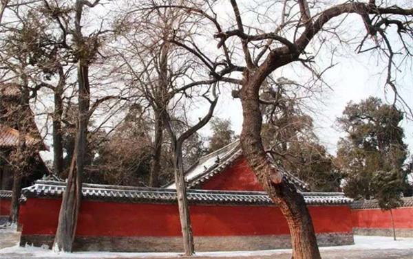 曲阜学者喊话儒家：孔子故里岂是一家之天下？