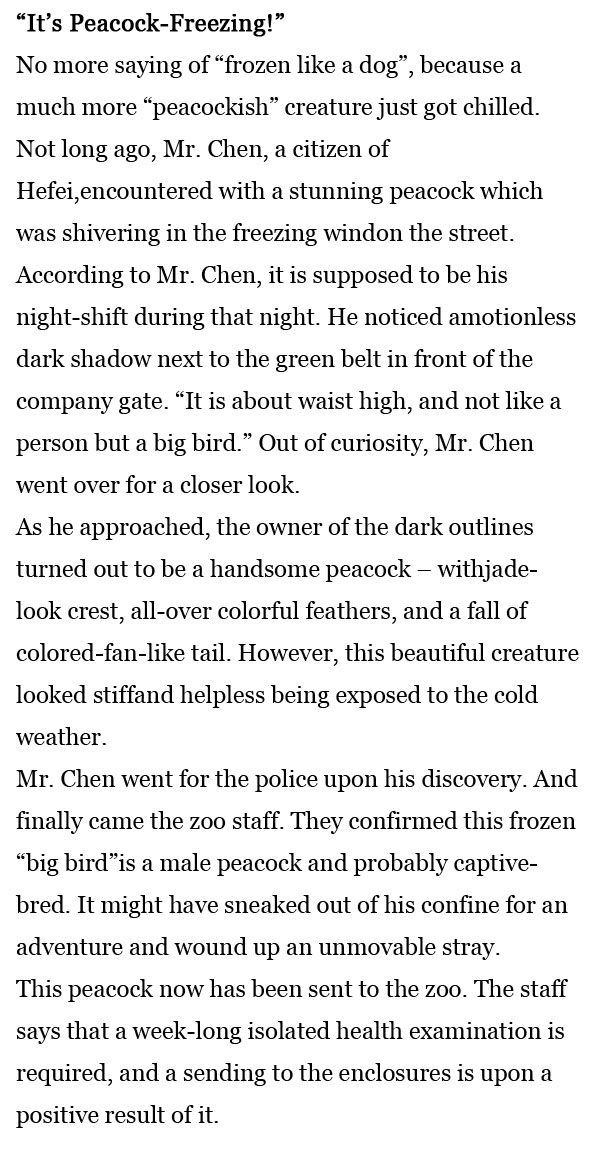 每日一词：“冻成孔雀”