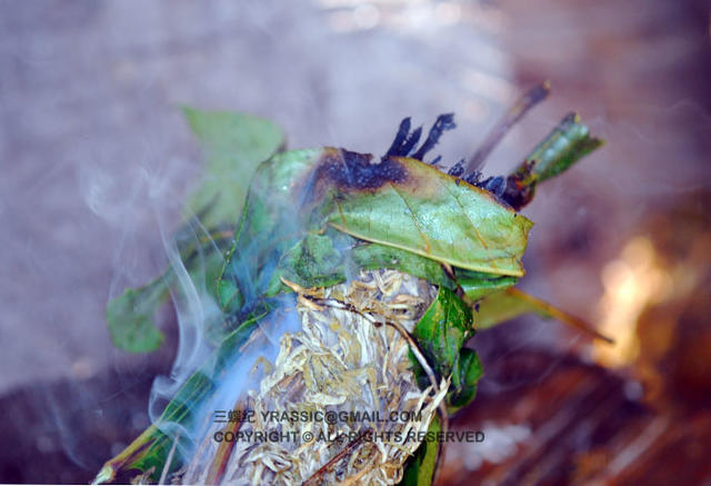 跟着养蜂人，体验一次蜂蜜的诞生
