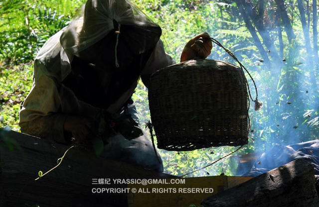 跟着养蜂人，体验一次蜂蜜的诞生