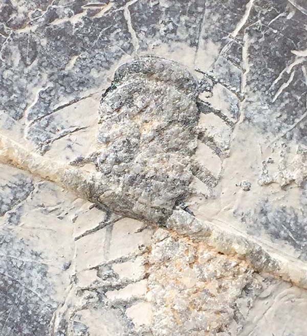 看展览|石头之上的农历节气，传统书法的当代书写