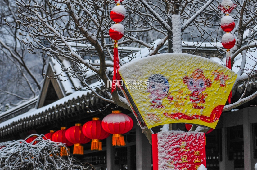 白雪红灯笼 狼山雪后分外娇   钱伟章摄 ) (2).jpg