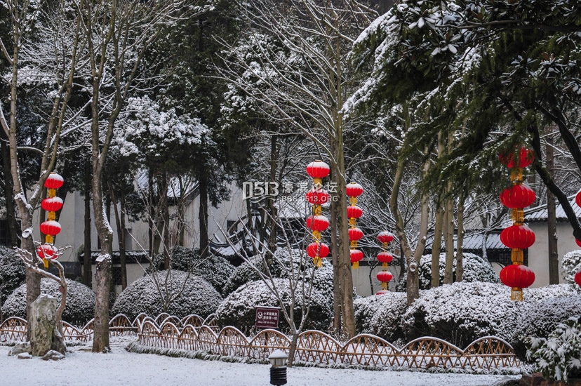 白雪红灯笼 狼山雪后分外娇   钱伟章摄 ) (5).jpg