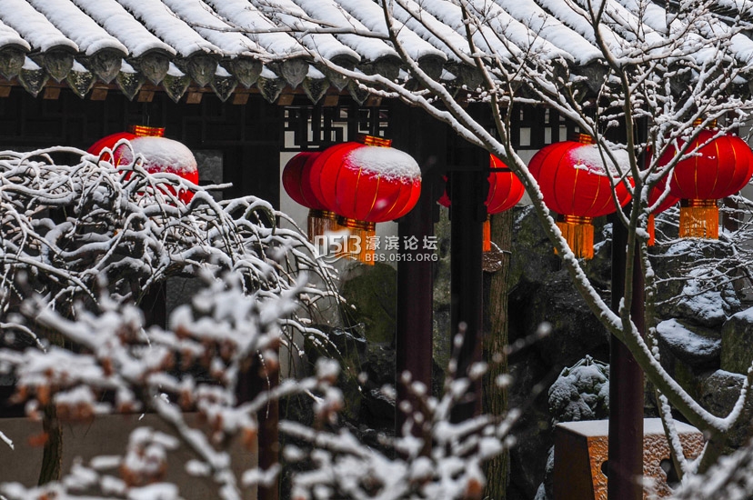 白雪红灯笼 狼山雪后分外娇   钱伟章摄 ) (7).jpg