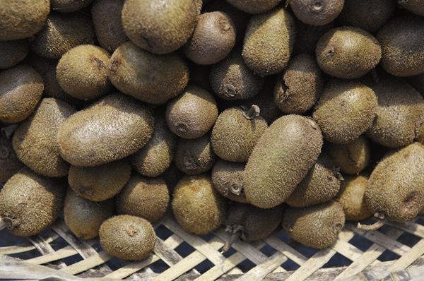 舌尖上的海龙囤：四百年前土司最爱吃什么