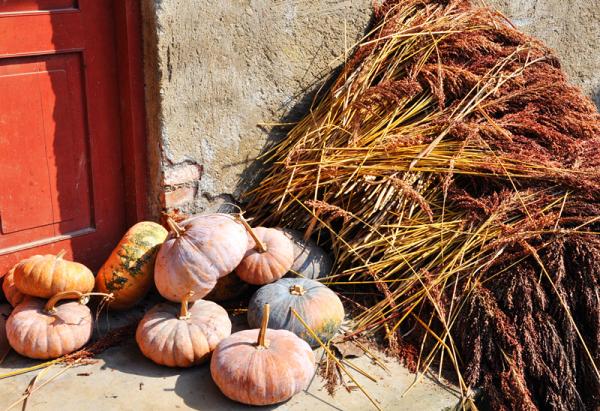 舌尖上的海龙囤：四百年前土司最爱吃什么