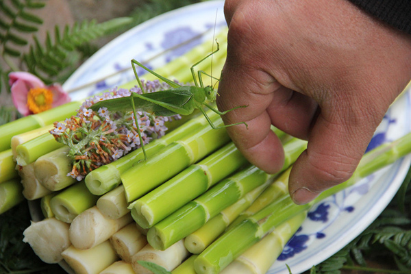 舌尖上的海龙囤：四百年前土司最爱吃什么