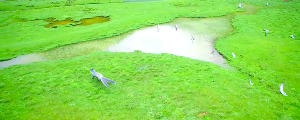 盘点｜春节陪爸妈看什么剧，可以完美避开逼婚