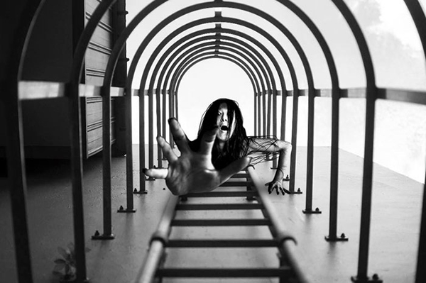 趣看|全民恶搞摄影奖优胜作，你，值得PS