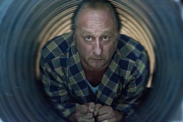 如果过年只追一部片子，就是它（们）了