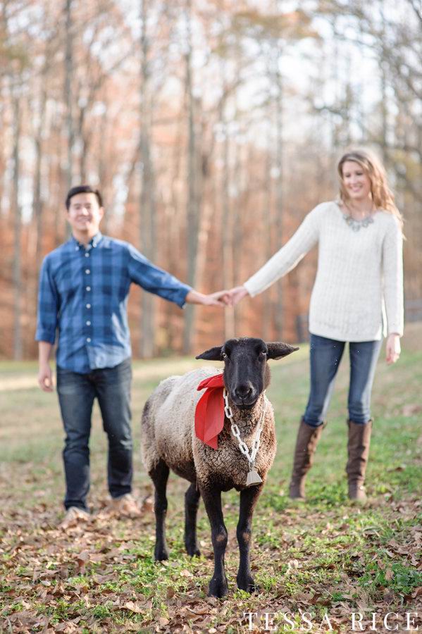 如何拍出高逼格的情侣照？颜值不是重点，关键是创意！