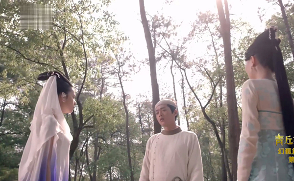 《青丘狐传说》：说好的狐狸精勾引小书生呢