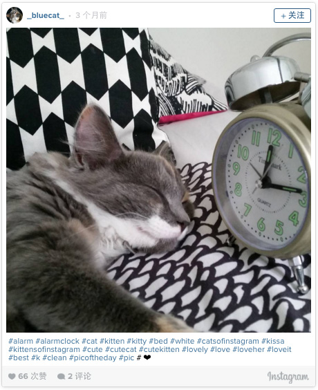 偷看好学生的朋友圈：原来他们是这么学习的