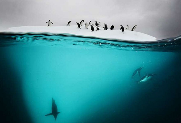 12个神话级别的潜水胜地