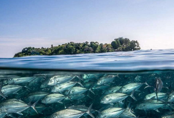 12个神话级别的潜水胜地