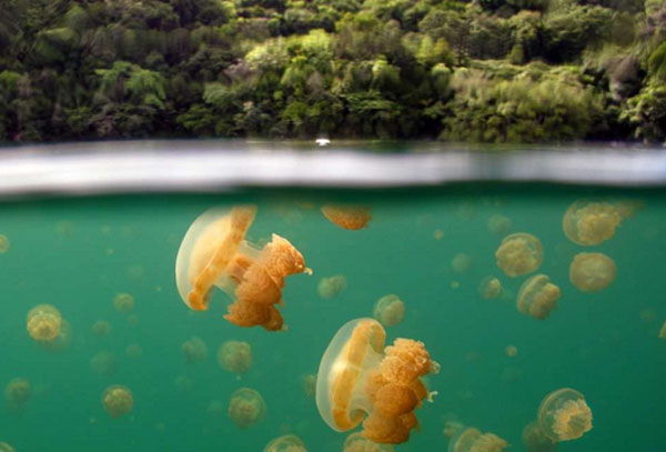 12个神话级别的潜水胜地