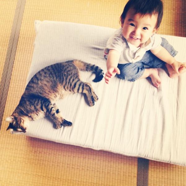 作为一只猫，我最想做的事就是陪着你长大