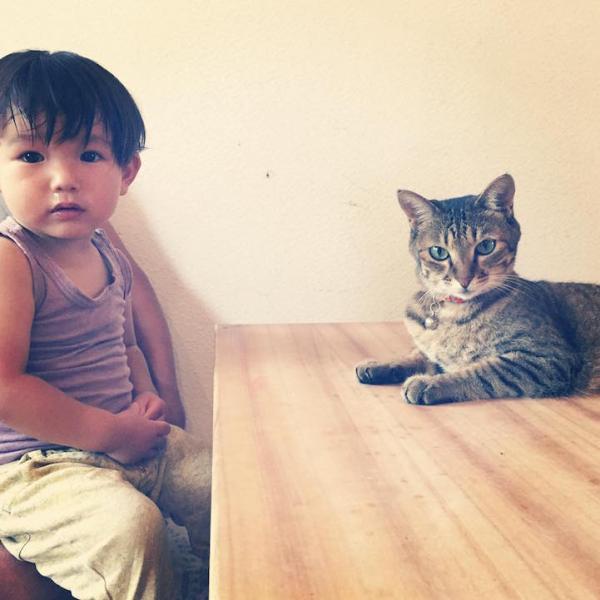 作为一只猫，我最想做的事就是陪着你长大