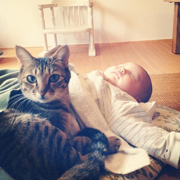 作为一只猫，我最想做的事就是陪着你长大