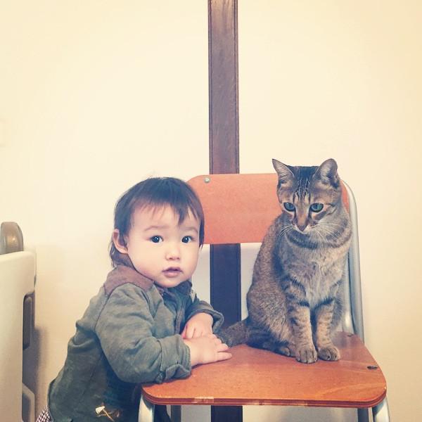 作为一只猫，我最想做的事就是陪着你长大
