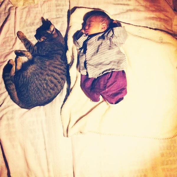 作为一只猫，我最想做的事就是陪着你长大